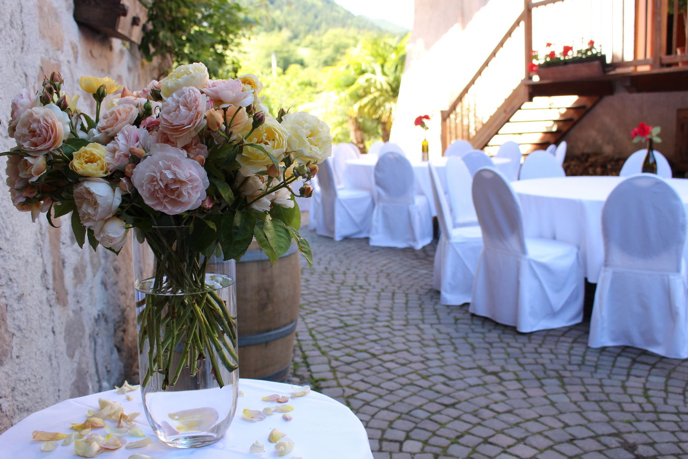 Haderburg 5