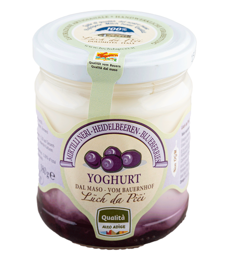 Heidelbeer-Joghurt vom Bauernhof 1