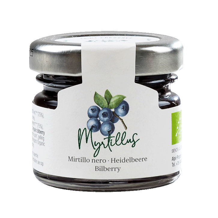 Heidelbeere BIO Fruchtaufstrich 1