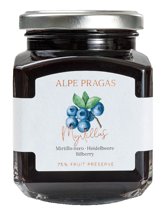 Heidelbeere Fruchtaufstrich 1