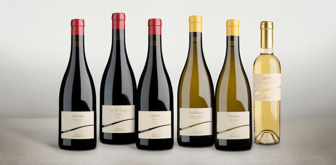 Chardonnay  "Doran" 2023 6