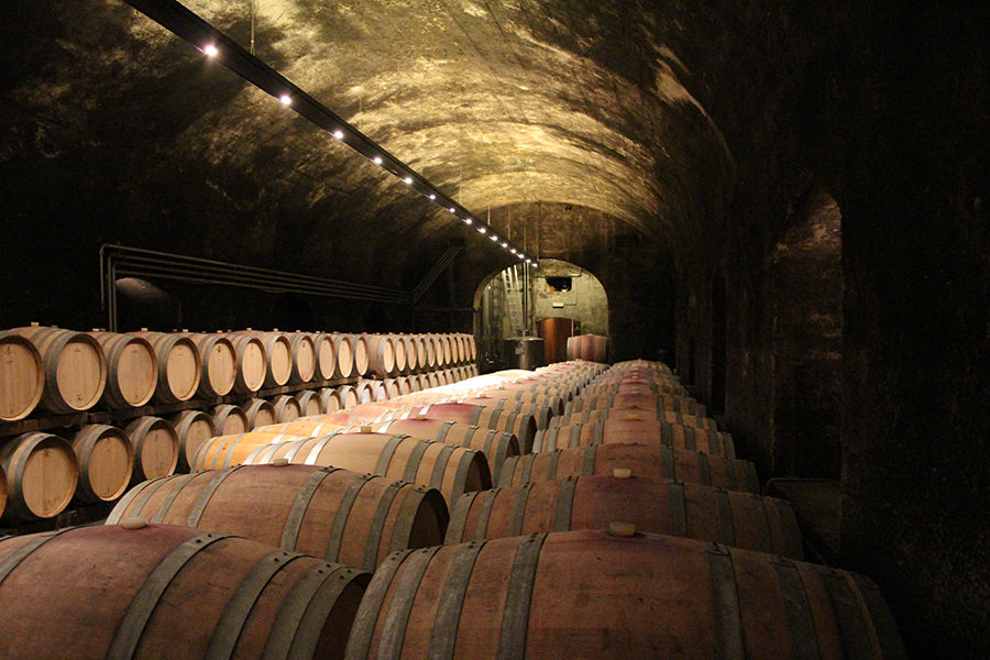 Gewürztraminer "Campaner" 2024 5