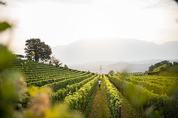 Kellerei Sankt Pauls 2