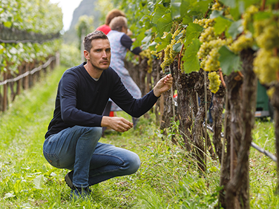 Kellerei Sankt Pauls 4