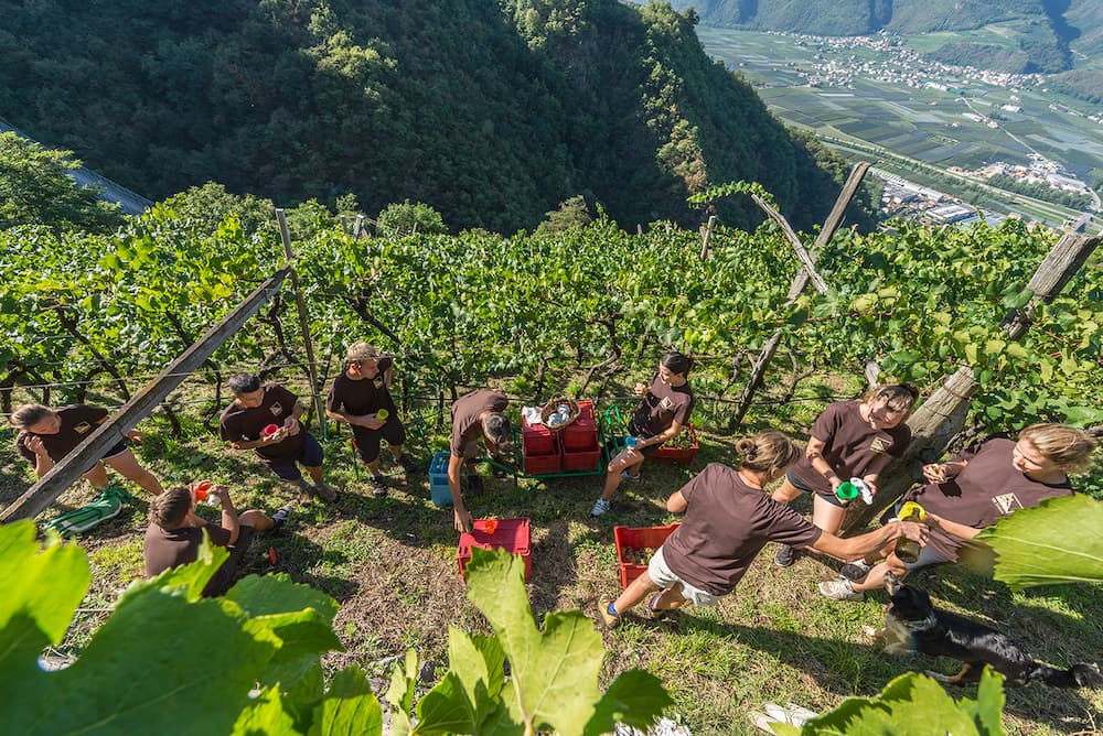 Lagrein Riserva "Porphyr" 2022 4