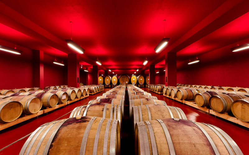 Gewürztraminer "Selida" 2023 3