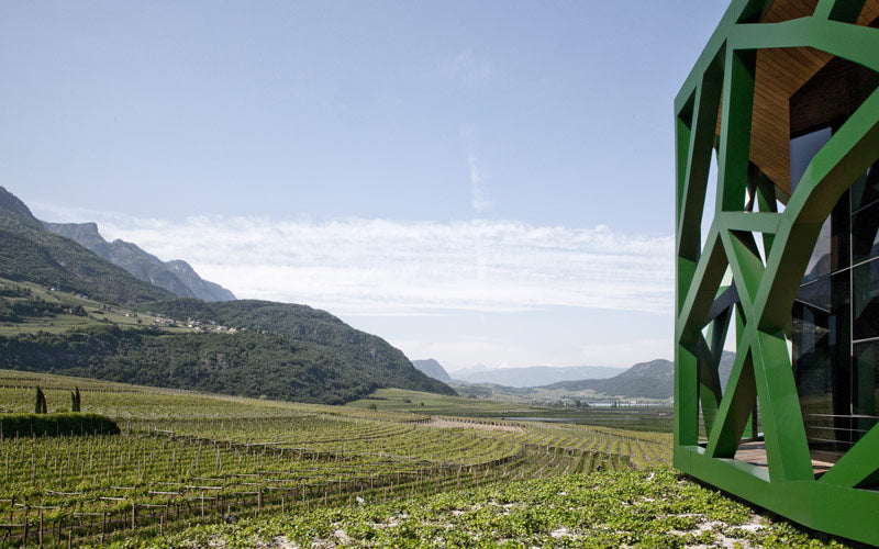 Gewürztraminer "Selida" 2023 4