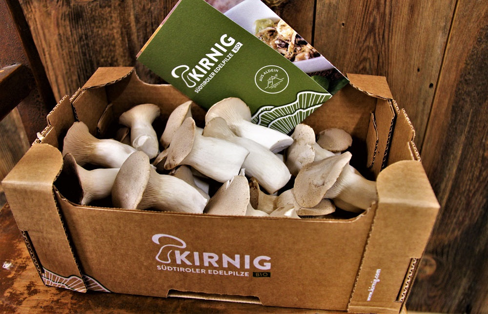 Kirnig 3