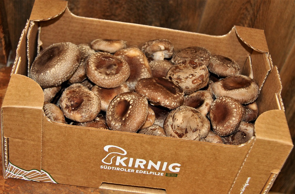 Kirnig 4