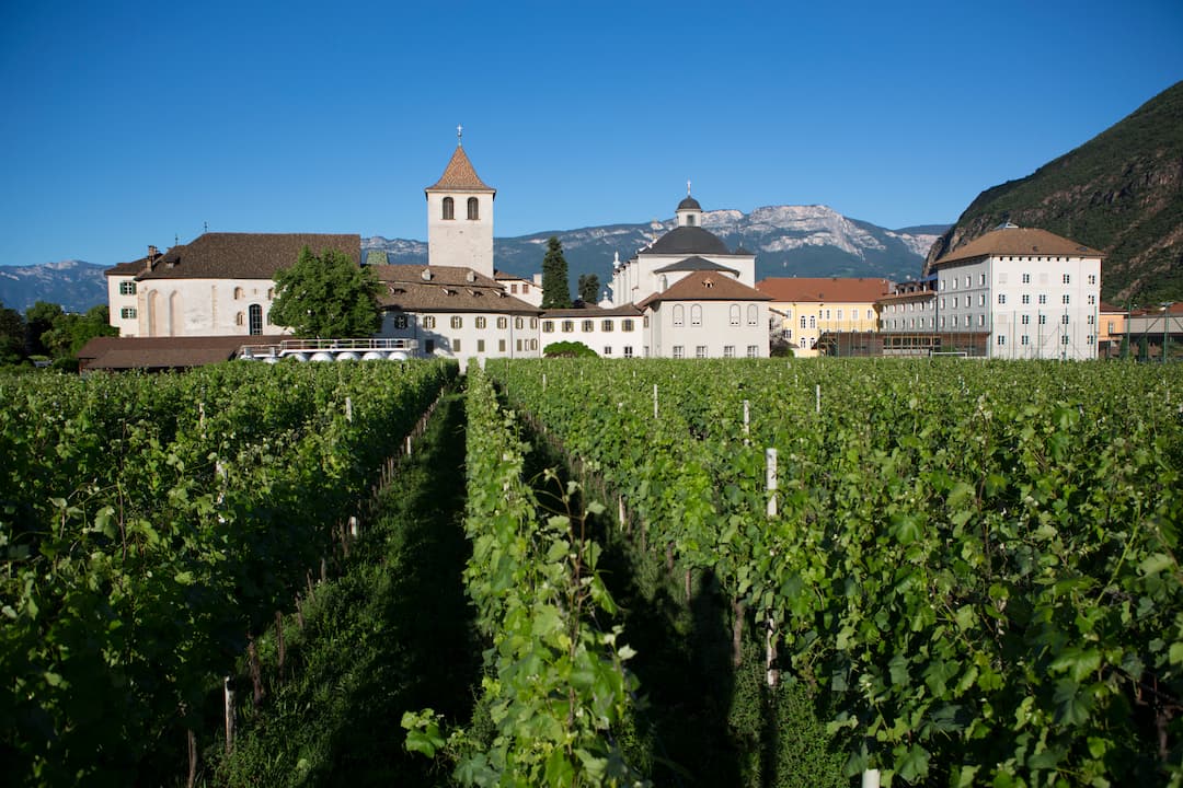 Lagrein Riserva "Weingarten Klosteranger" 2022 6