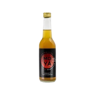 Kombucha Alpenkräuter bio 1
