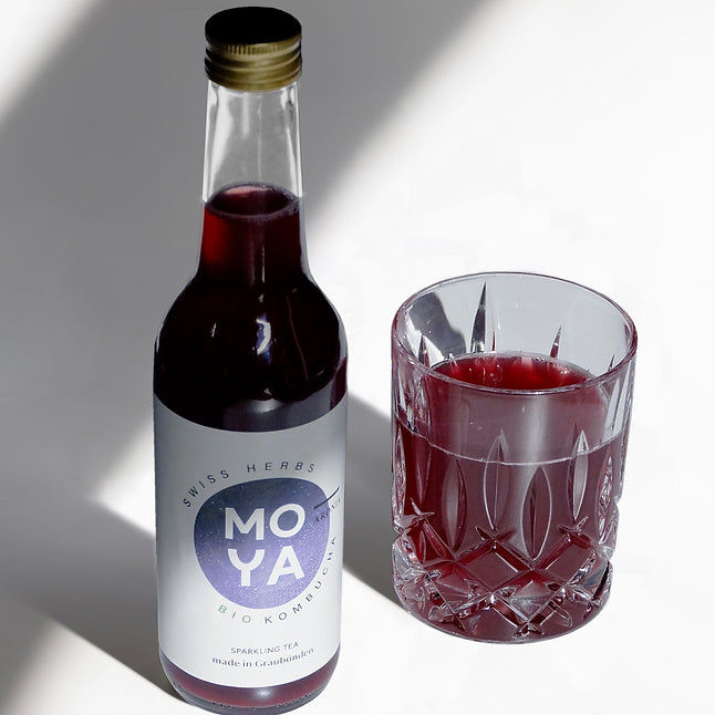 Kombucha Aronia bio 2