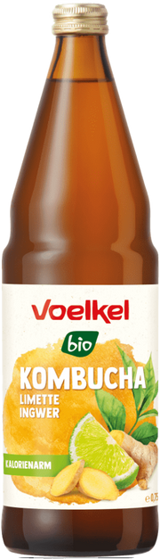 Kombucha Limette und Ingwer Bio 1