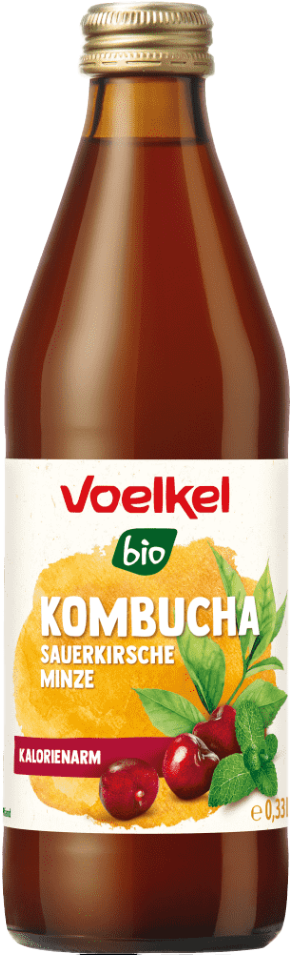 Kombucha Sauerkirsche & Minze Bio 1