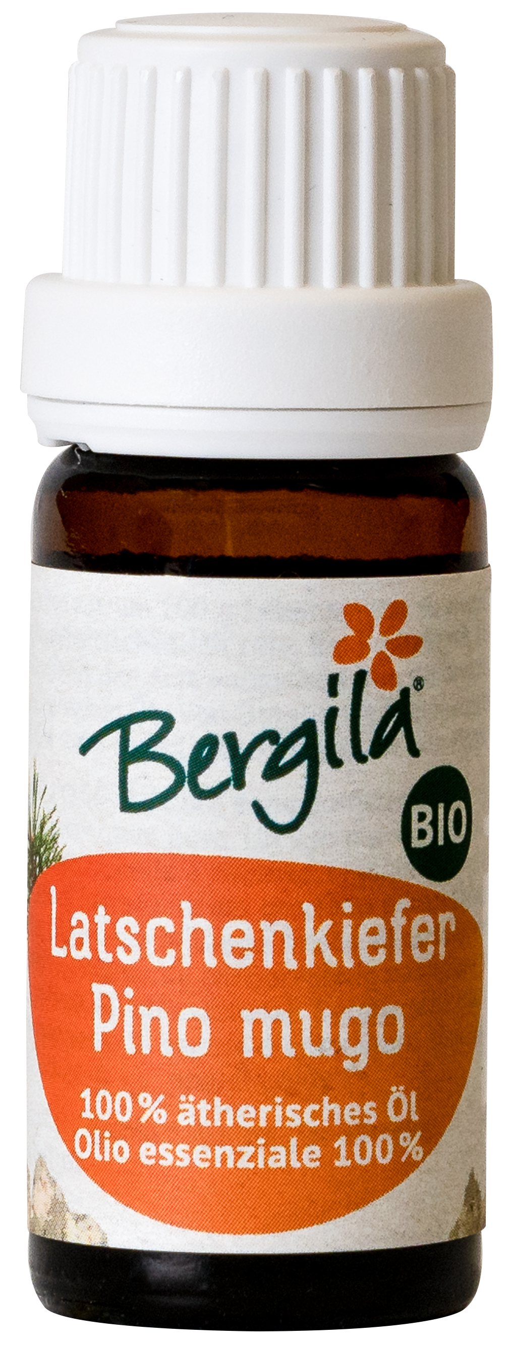 Latschenkieferöl Bio 1