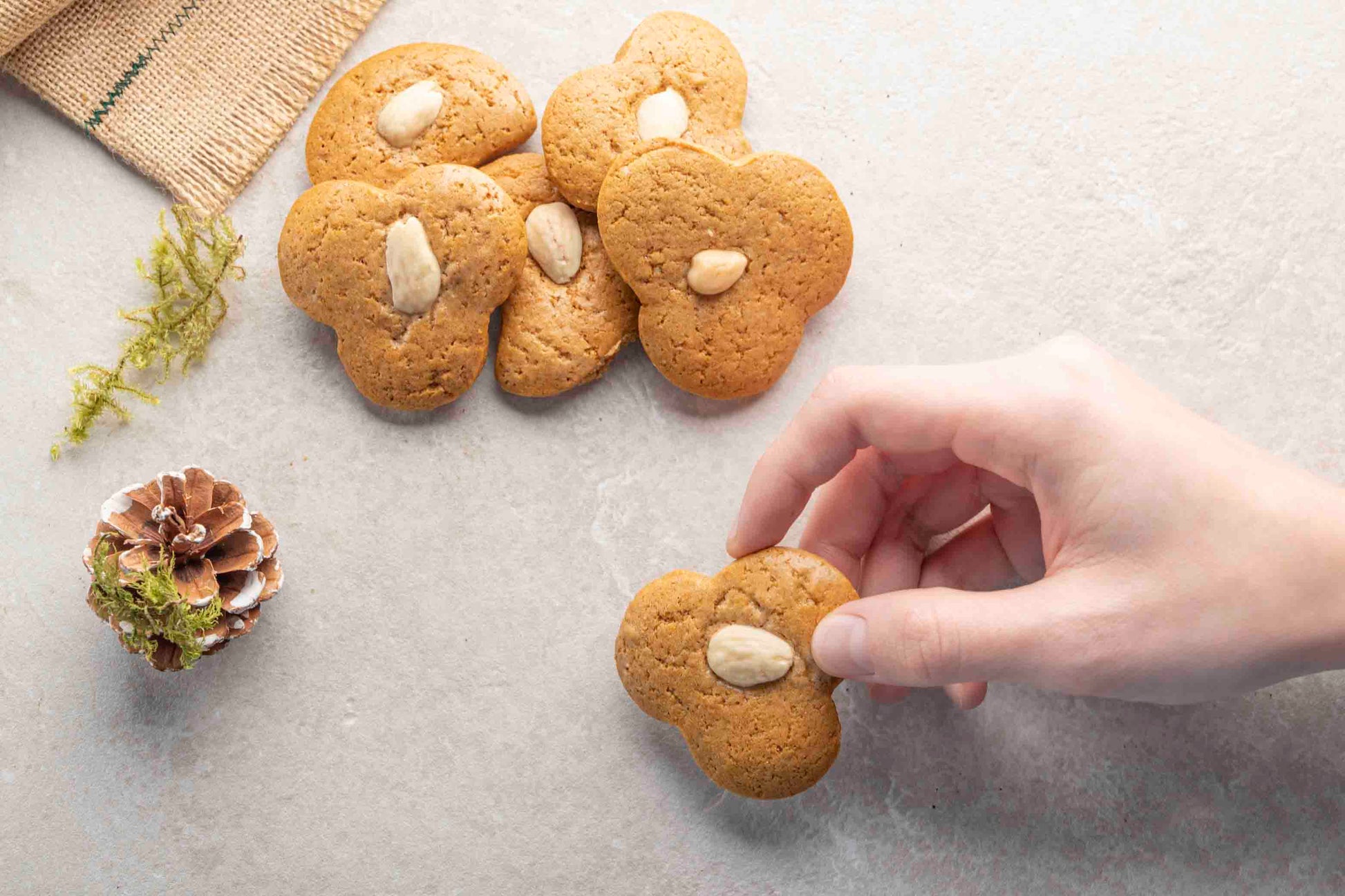 Lebkuchen Bio 2