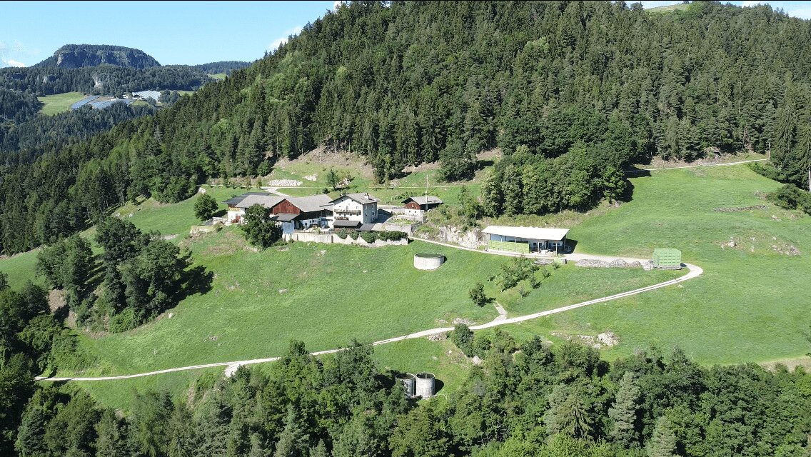 Leitnerhof 4