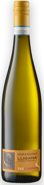 Lugana "TreCampane" Bio 2024 1
