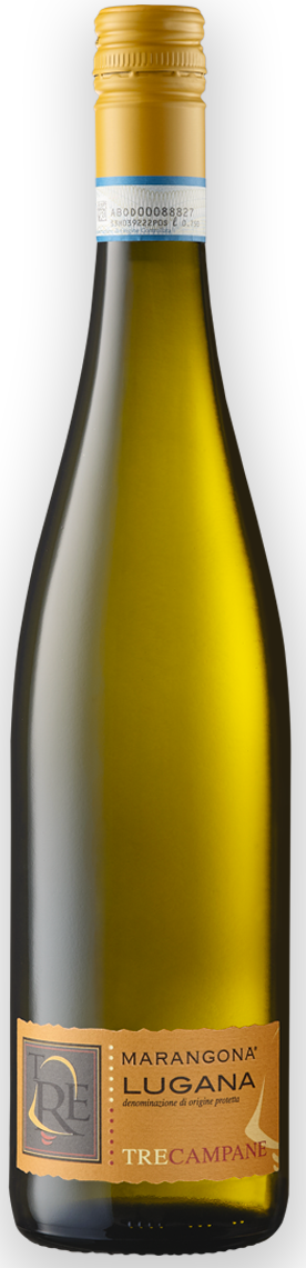 Lugana "TreCampane" Bio 2024 1