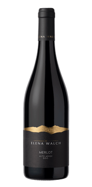 Merlot 2024 1