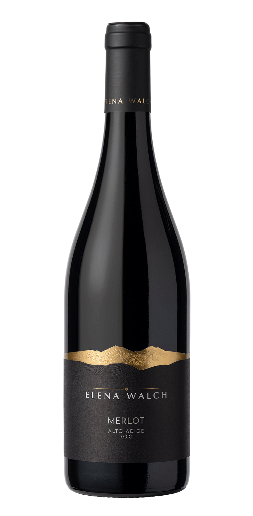 Merlot 2024 1