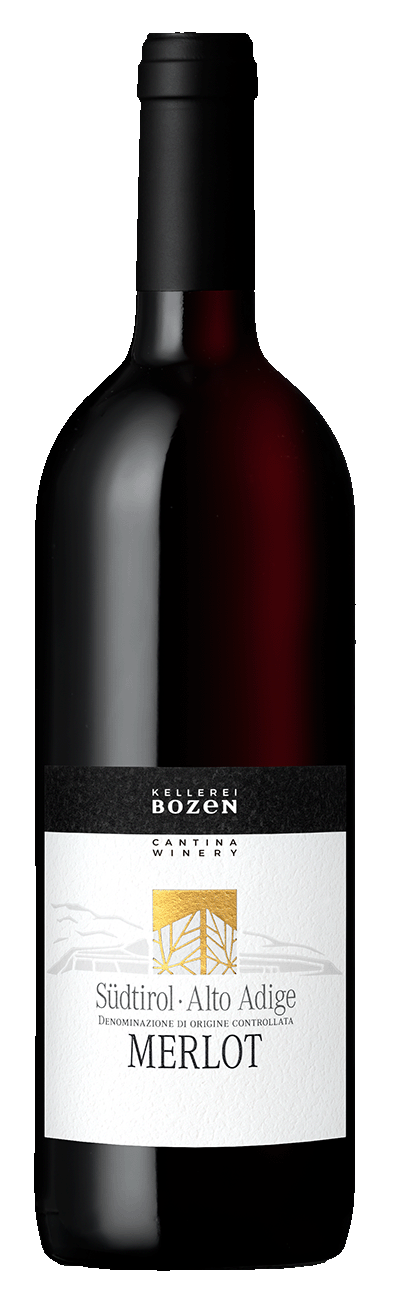 Merlot 2024 1