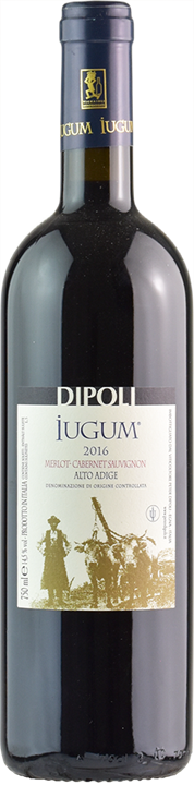 Merlot Cabernet Sauvignon "Iugum"   2019 1