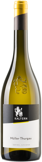 Müller Thurgau 2024 1