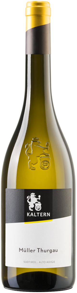 Müller Thurgau 2024 1