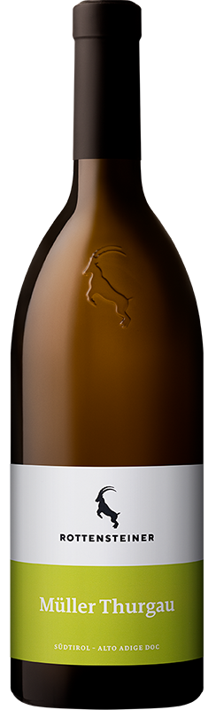 Müller Thurgau 2024 1