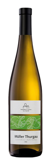 Müller Thurgau 2024 1