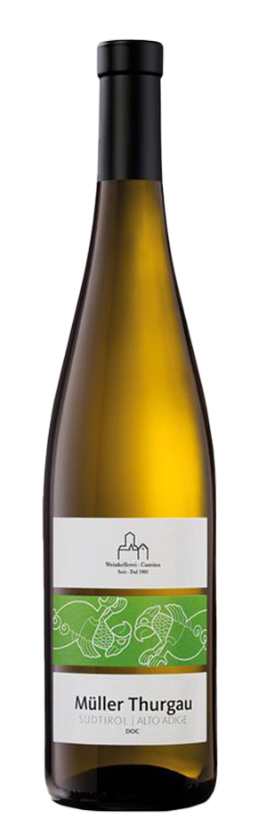 Müller Thurgau 2024 1