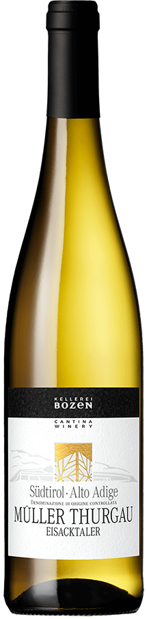 Müller Thurgau 2025 1