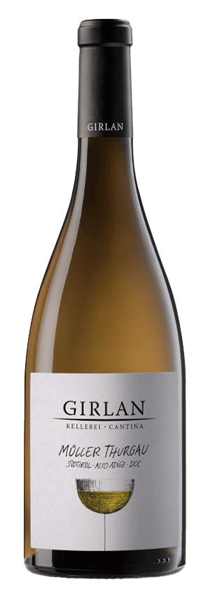 Müller Thurgau 2025 1