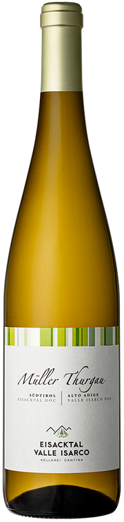 Müller Thurgau 2025 1