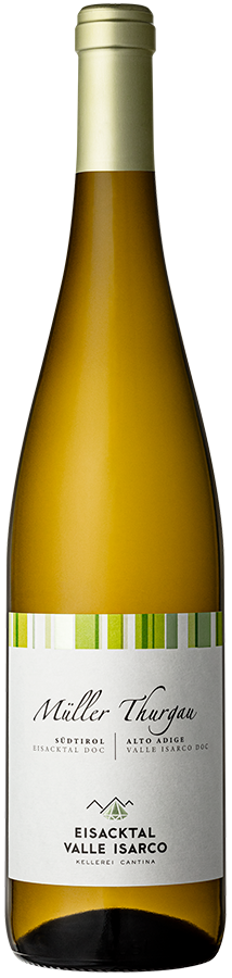 Müller Thurgau 2025 1