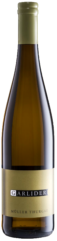 Müller Thurgau Bio 2022 1