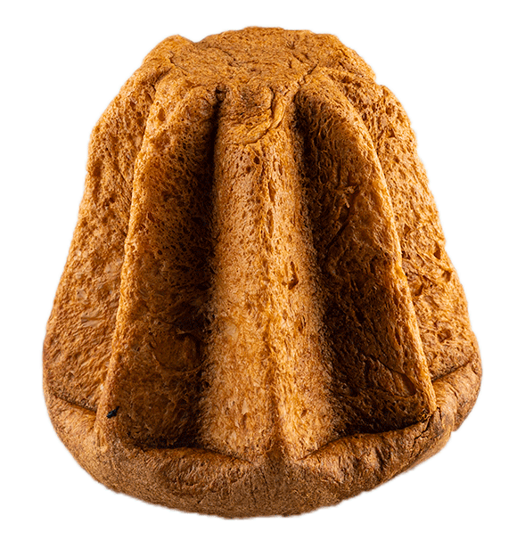 Pandoro 1