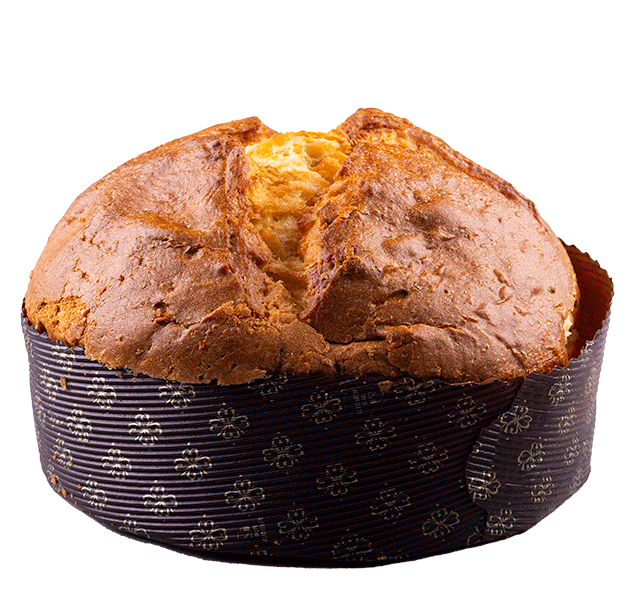 Panettone Bio 1