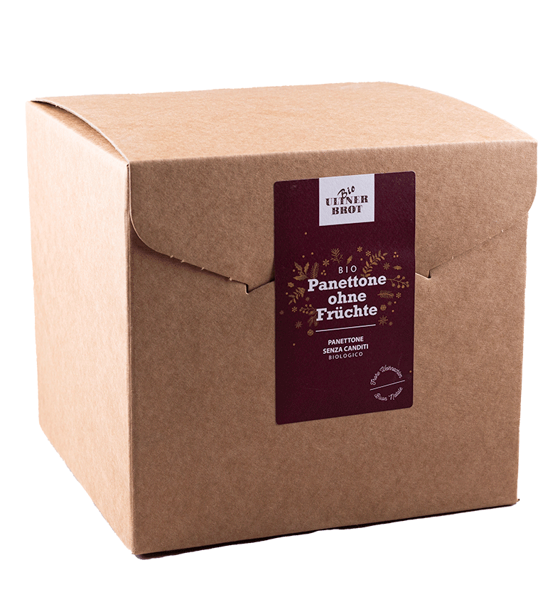 Panettone Bio 4