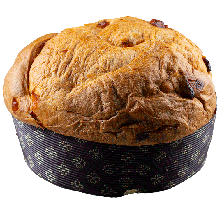 Panettone Vinschger Marille  1