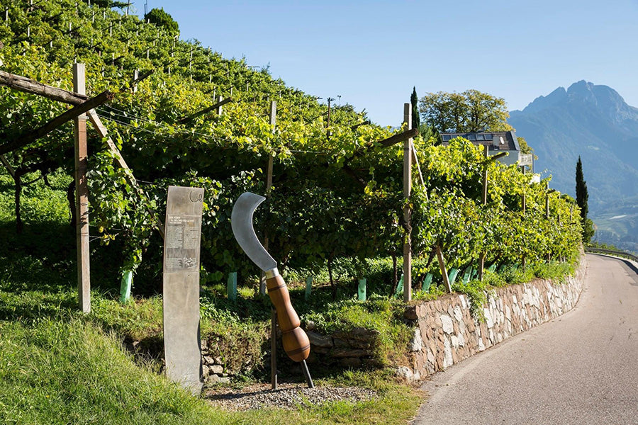 Pardellerhof 5