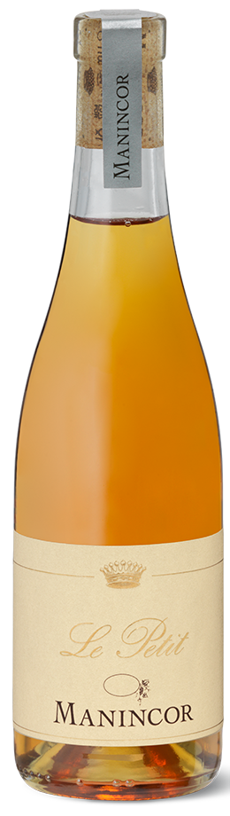 Petit Manseng "Le Petit" Bio 2023 1