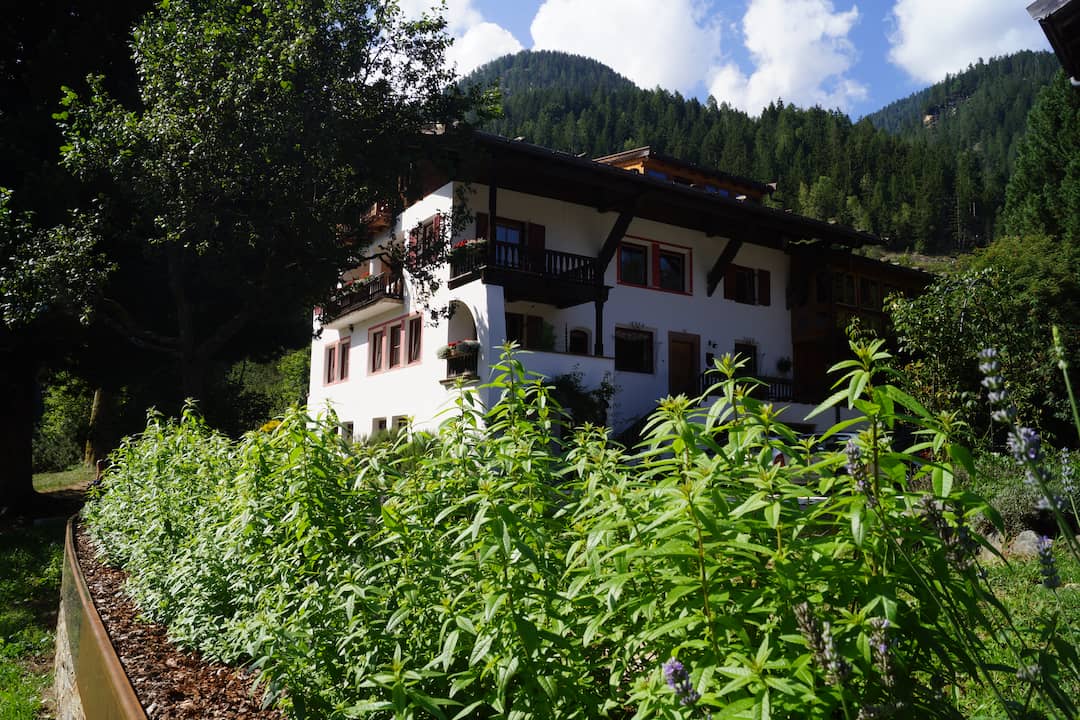Pflegelotion mit Zirbe und Alpenrose Bio 2