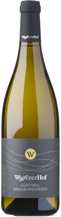 Pinot Grigio 2022 1