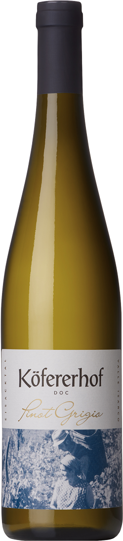Pinot Grigio 2024 1
