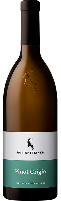 Pinot Grigio 2024 1