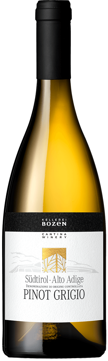 Pinot Grigio 2024 1