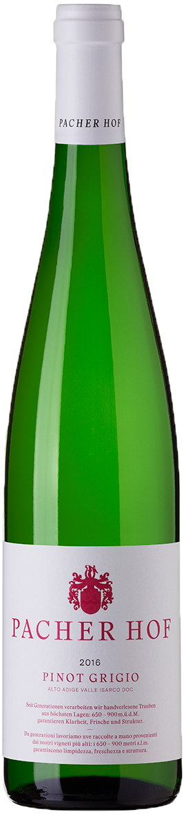 Pinot Grigio 2025 1