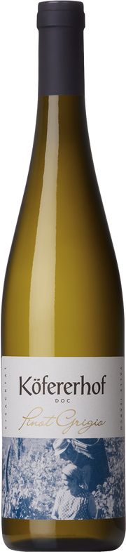 Pinot Grigio 2025 1